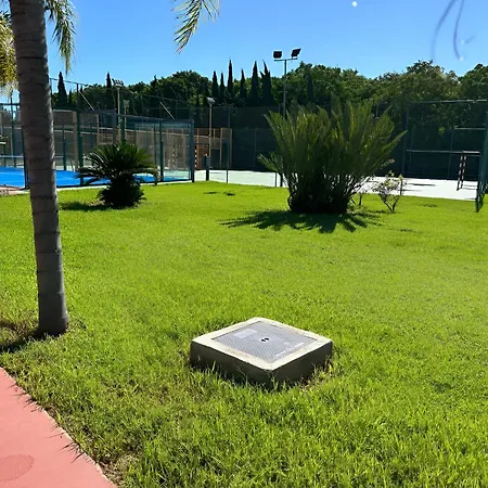 Paradise 3*